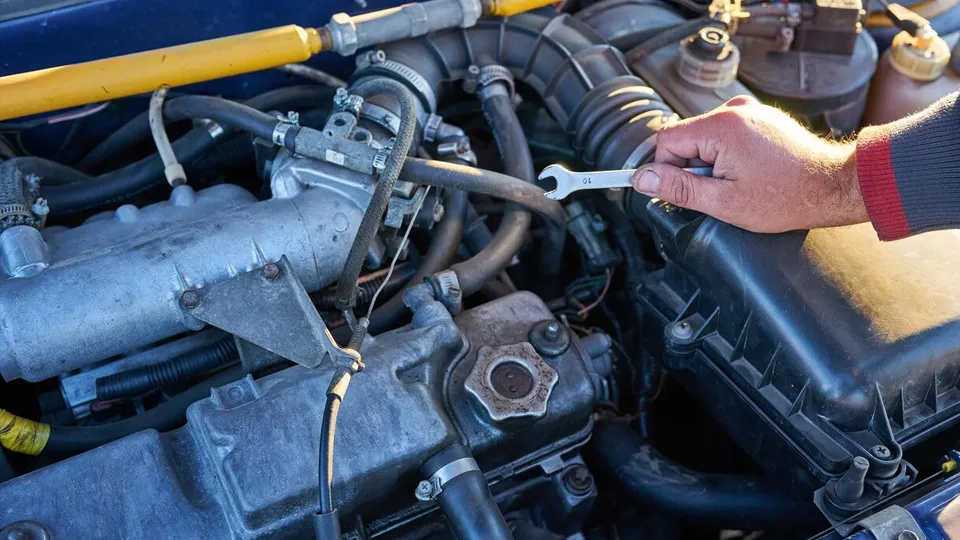 Фото: freepik.com