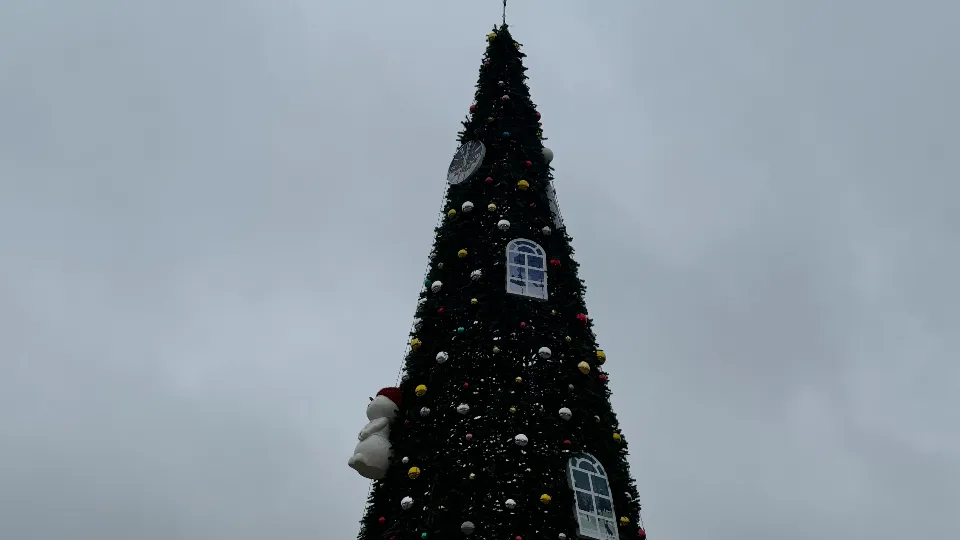 Фото: МедиаБанк Подмосковья/Полина Абраменко