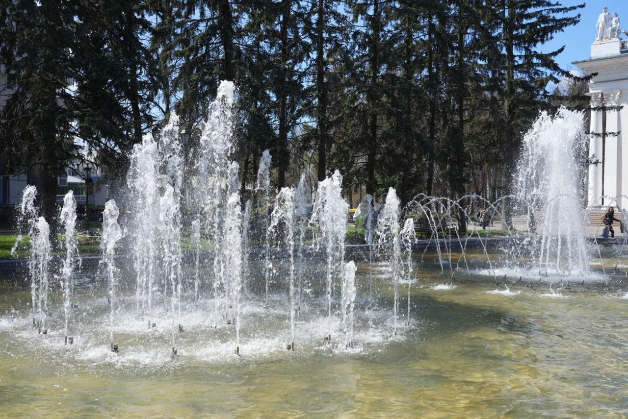 Фото: Дарья Леонова