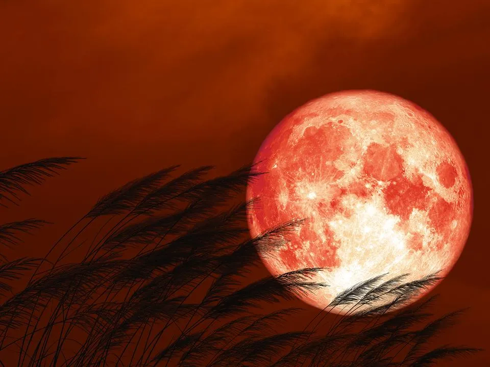 Фото: istockphoto.com&nbsp;