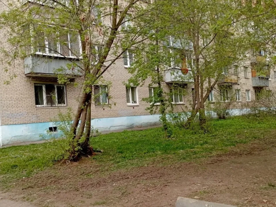 Фото: пресс-служба администрации г.о. Мытищи