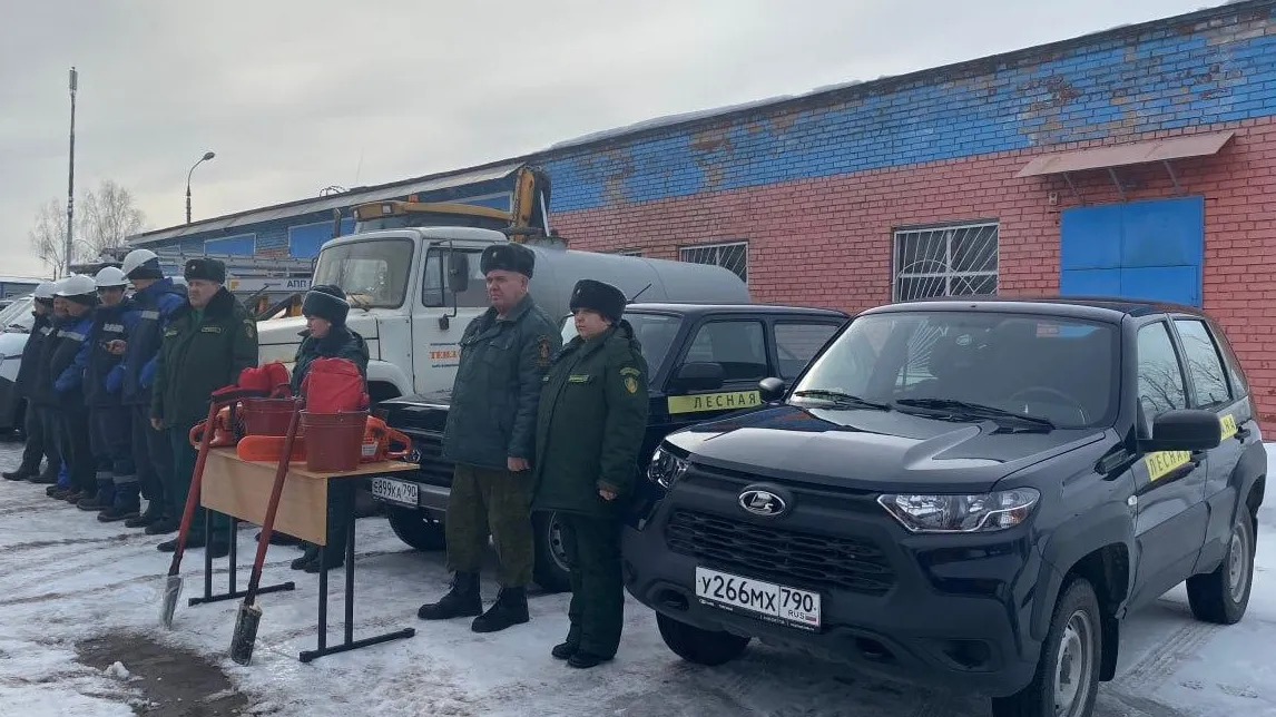 Фото: Комитет лесного хозяйства Московской области