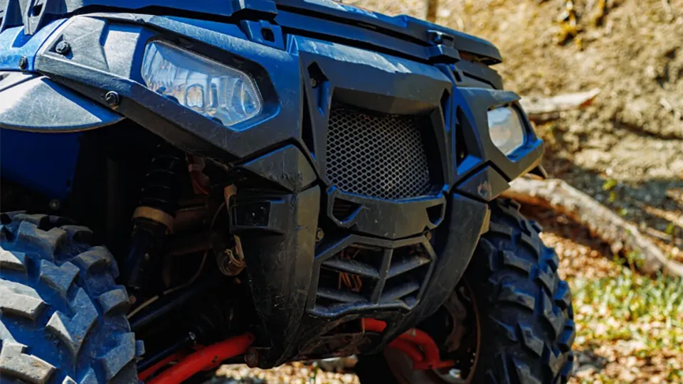 Фото: freepik.com