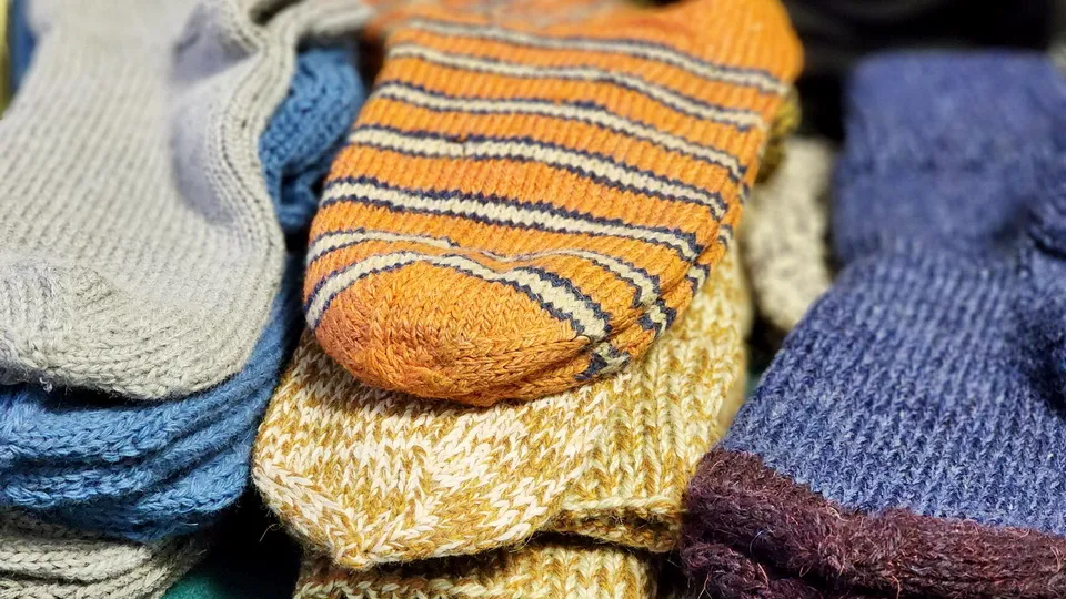 Фото: МедиаБанк Подмосковья/Ксения Пашуто