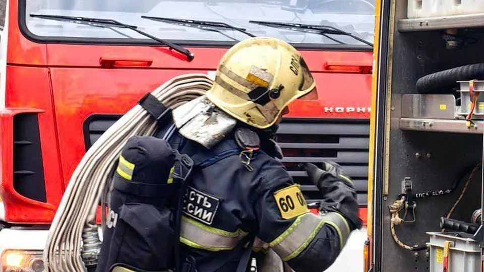 Фото: пресс-служба администрации г.о. Реутов