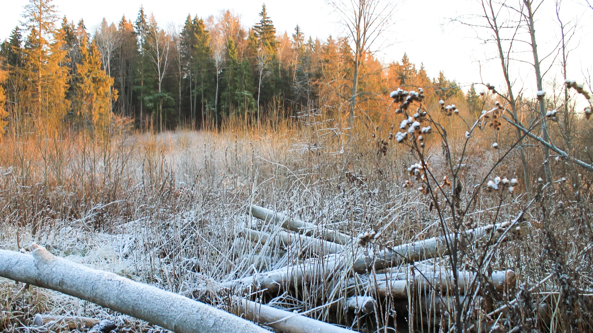 медиасток.рф