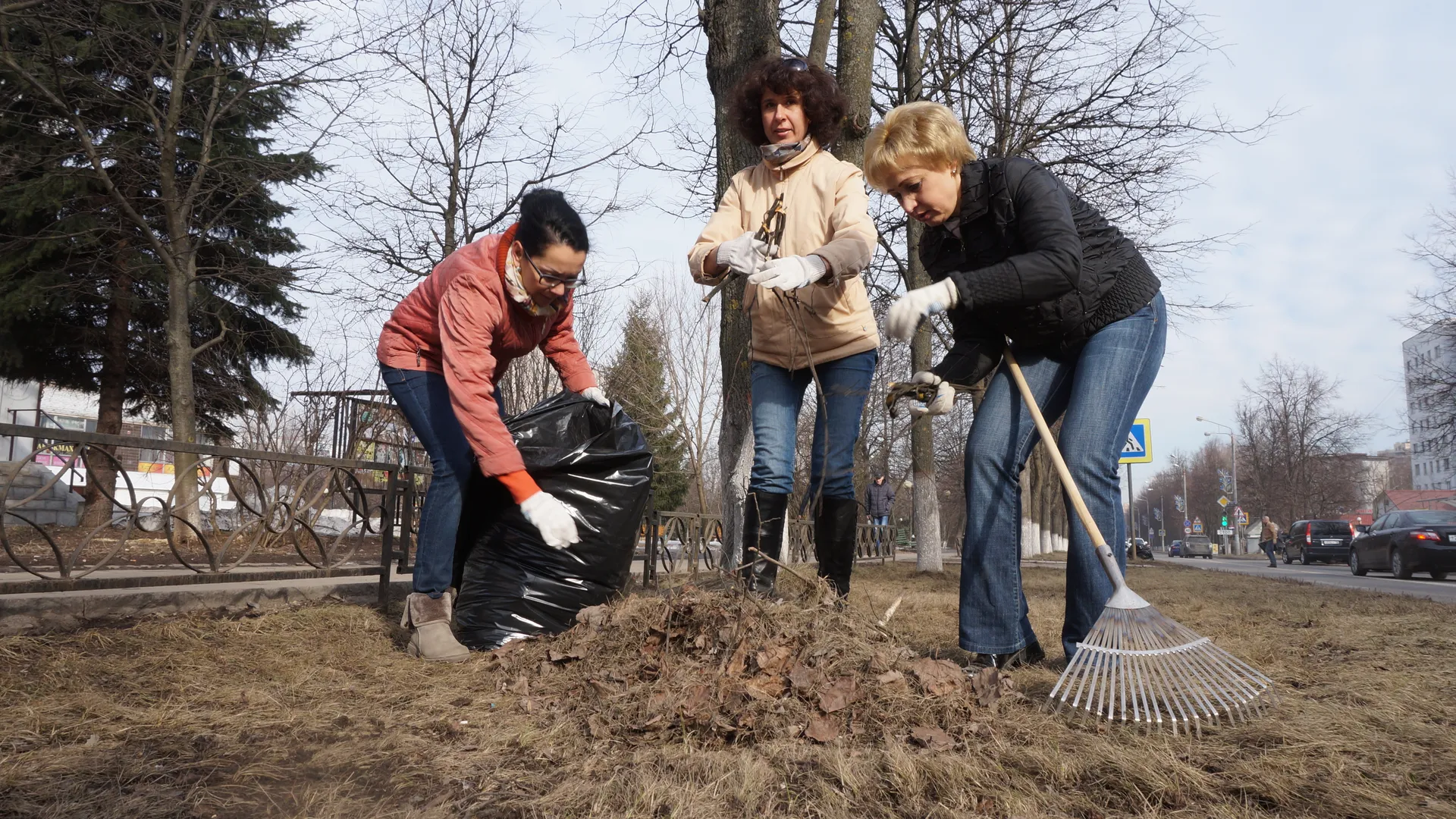 медиасток.рф