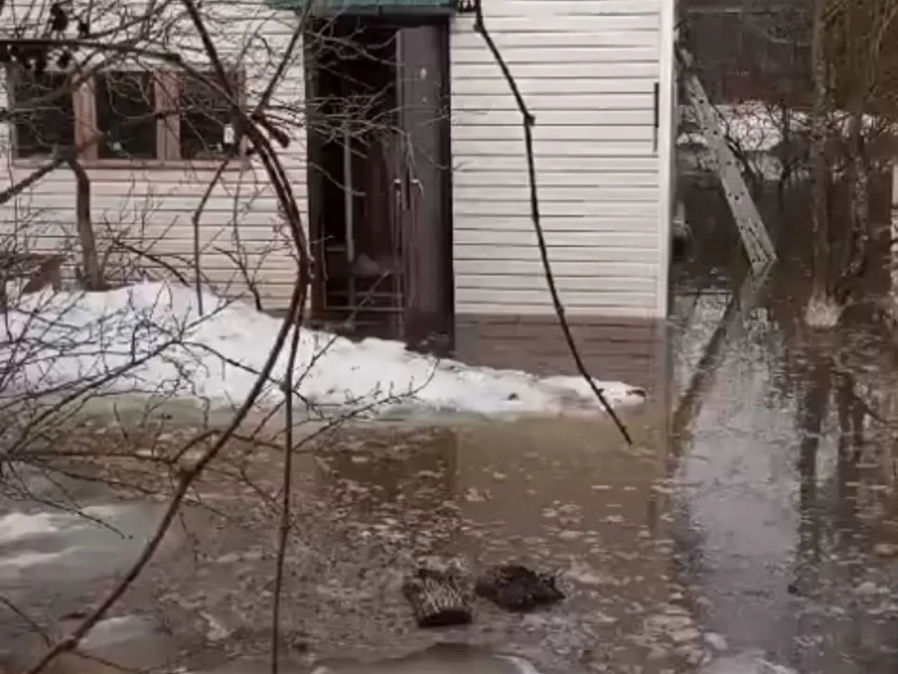 фото:&nbsp;vk.com/alabushevolive