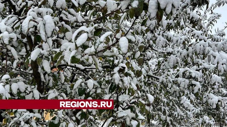 Фото: REGIONS/Елена Фурман