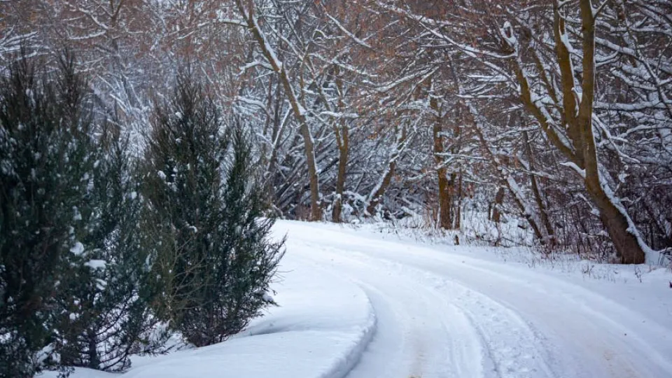 Фото: REGIONS/Дарина Левкина