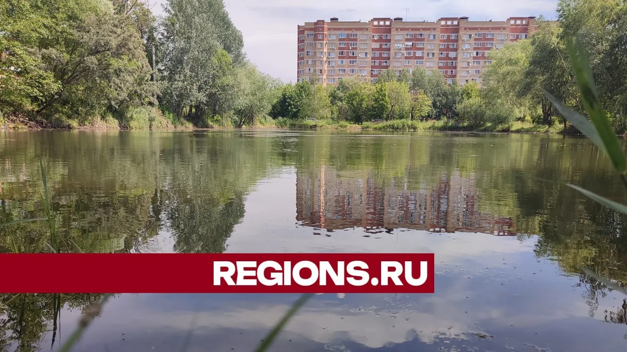 Фото: Юлия Андросова