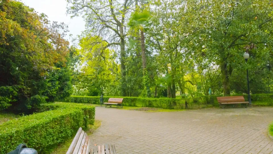 Фото: freepik.com