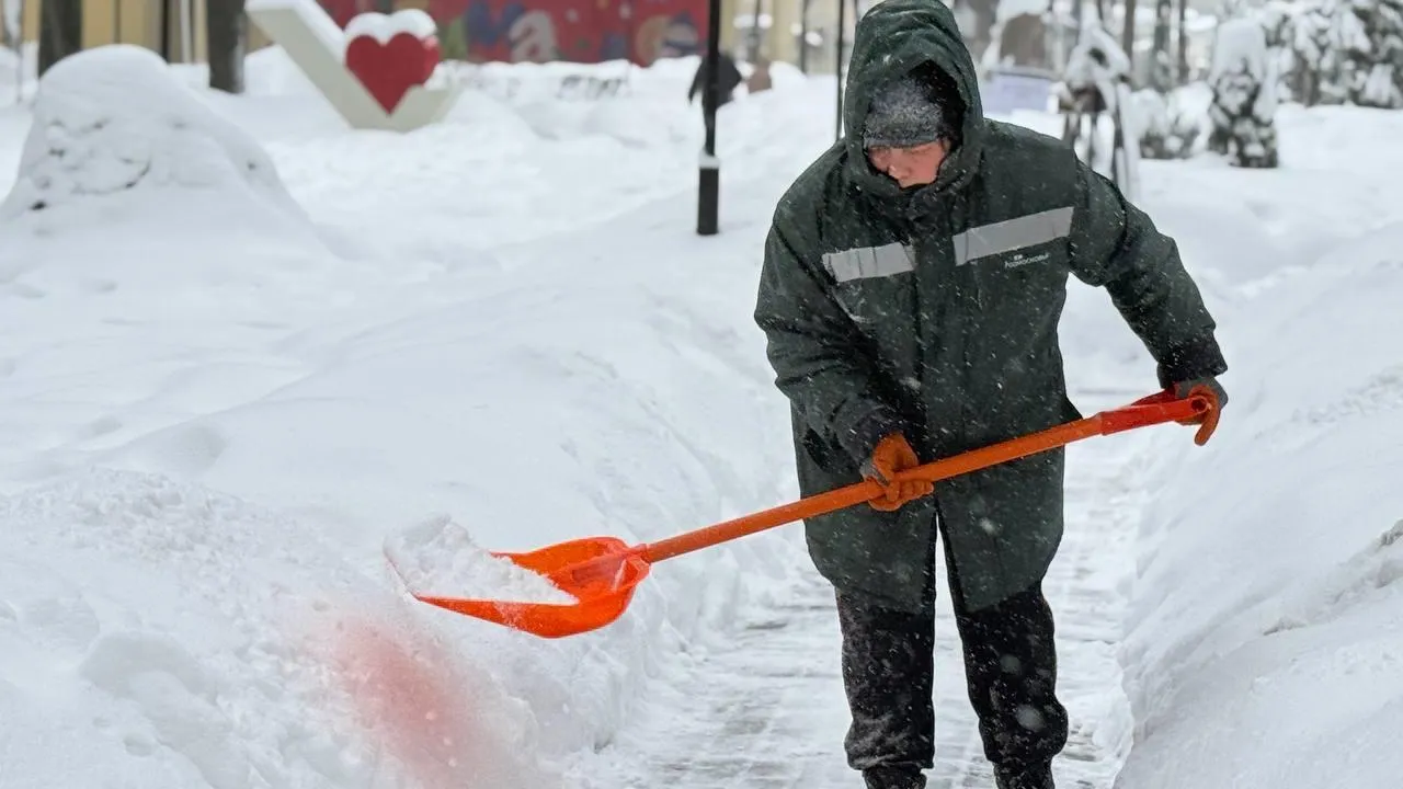 Министерство благоустройства МО
