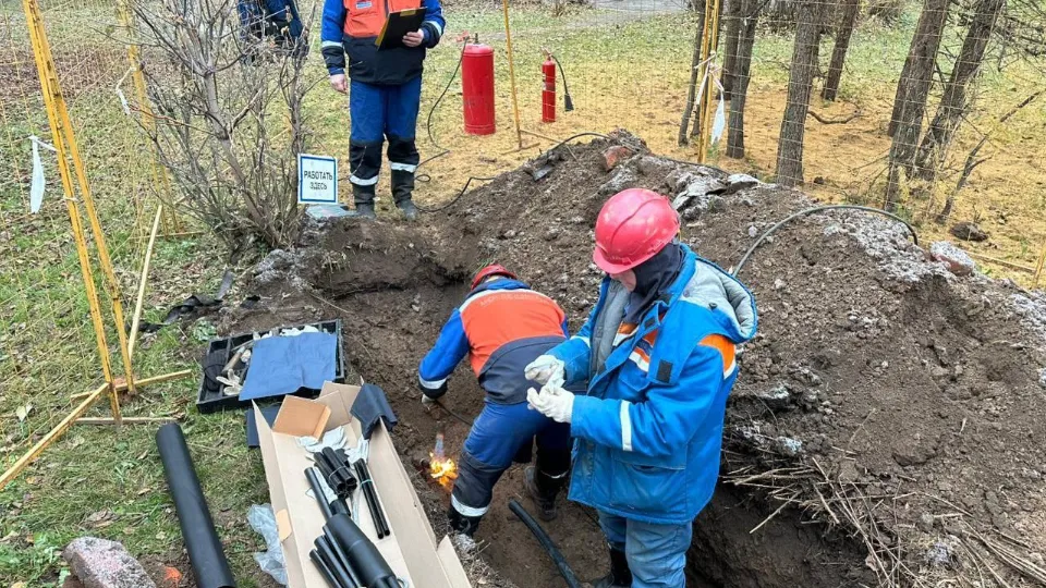Фото: Мособлэнерго