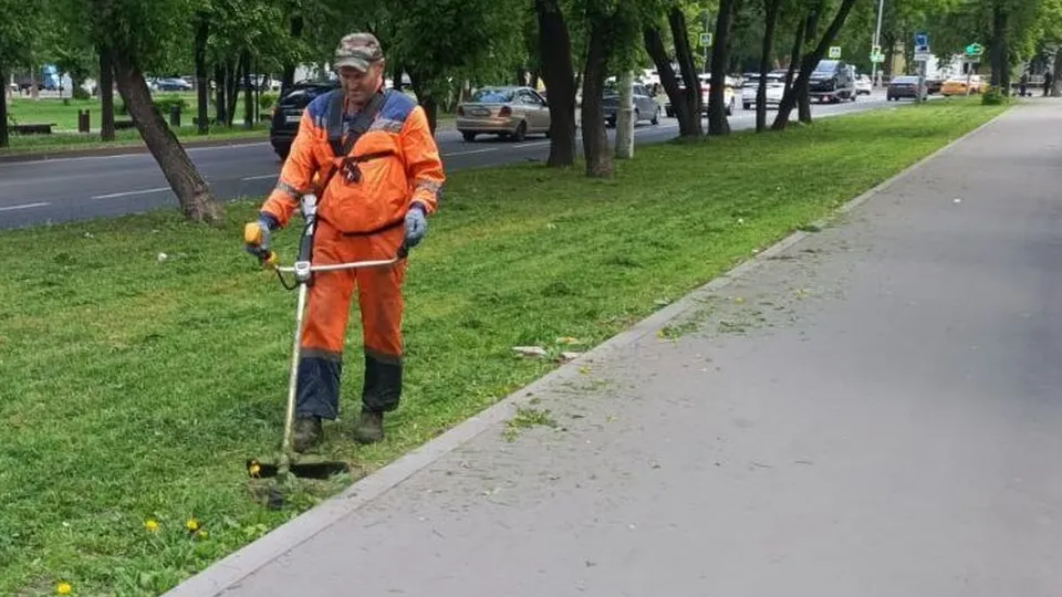 Фото: пресс-служба администрации г.о. Люберцы
