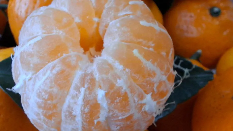 Фото: Юлия Габбасова