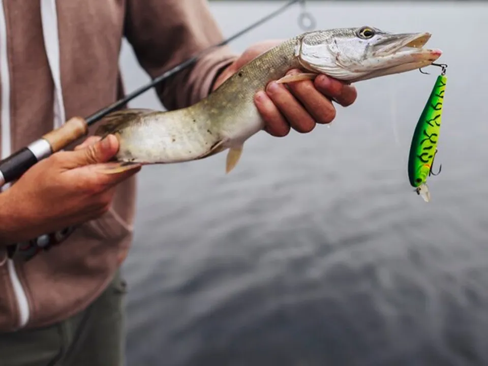 &nbsp; Фото: freepik.com