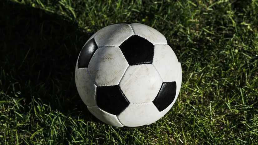 Фото: freepik.com