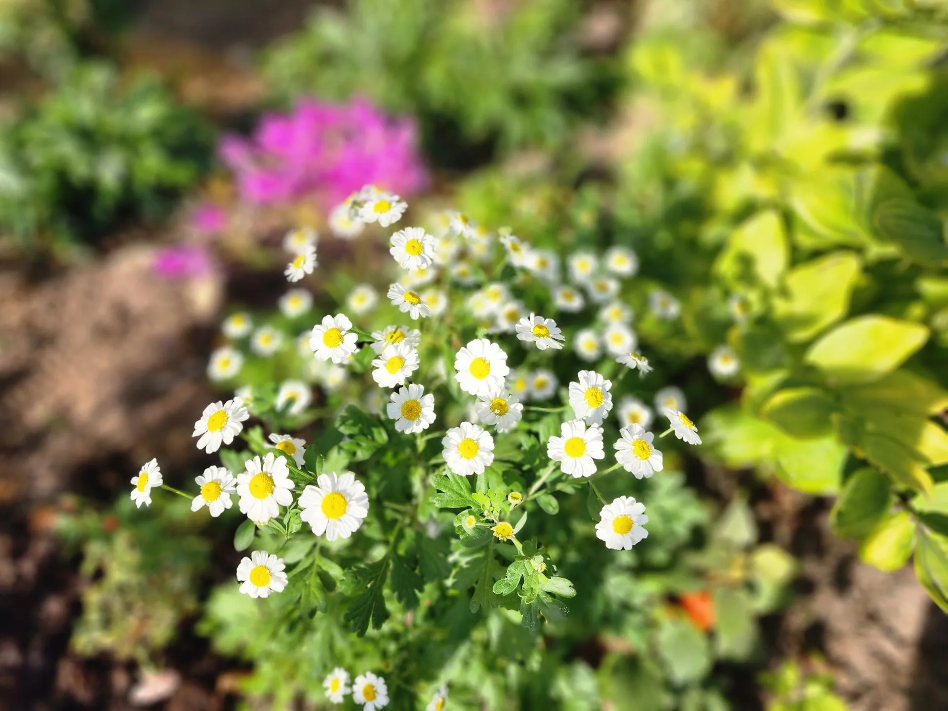 Фото: REGIONS/Наталья Дорошева