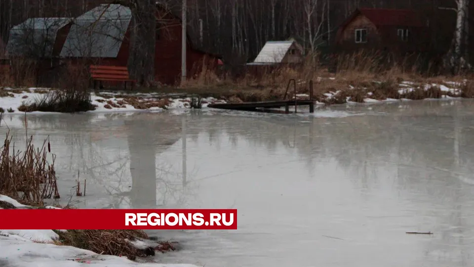 Фото: REGIONS/Василий Тремасов