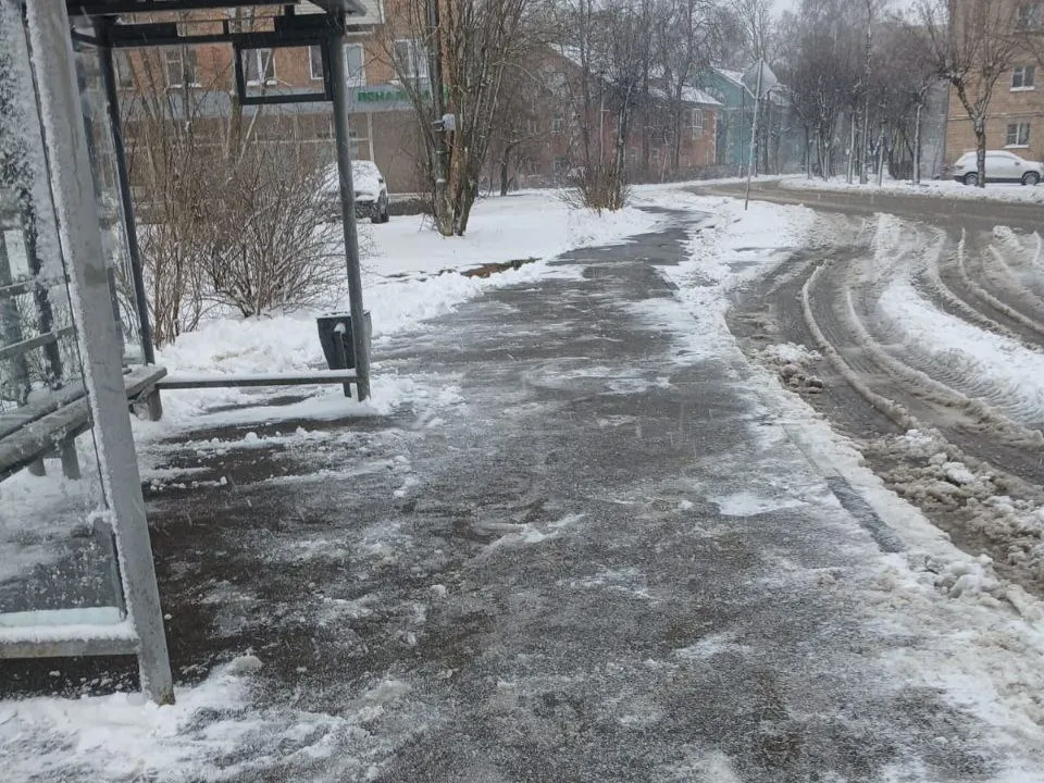 Фото: пресс-служба администрации г.о. Серпухов