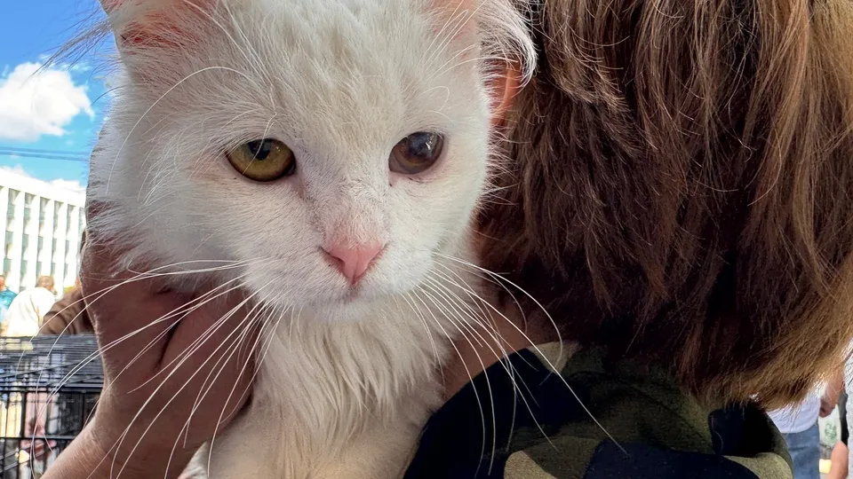 Фото: Мария Шматкова