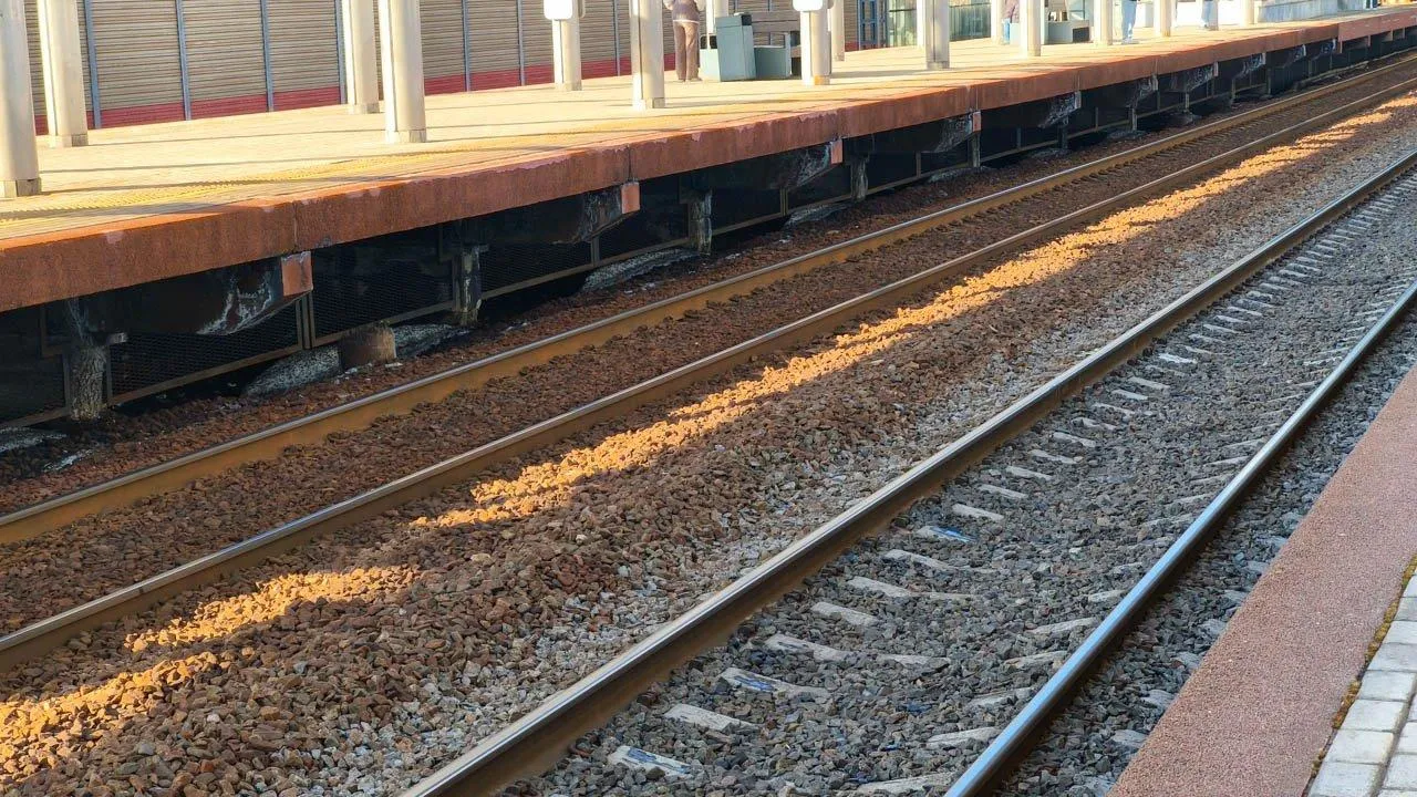 REGIONS/Анастасия Широкая