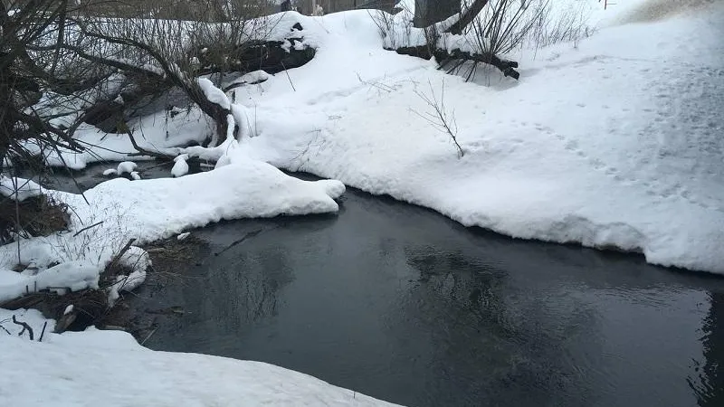 Фото: министерство экологии и природопользования МО