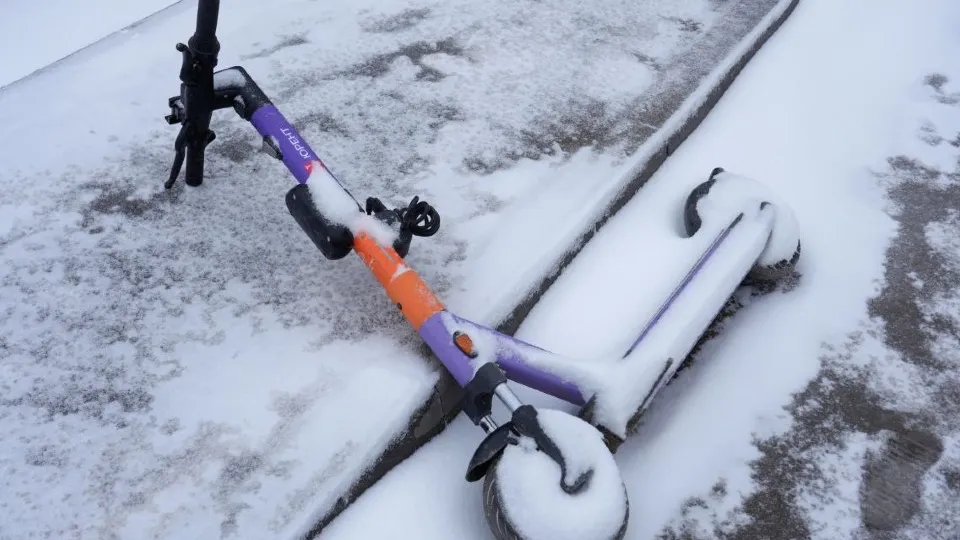 Фото: МедиаБанк Подмосковья/Дмитрий Зайчиков