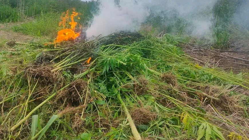 Из архива редакции