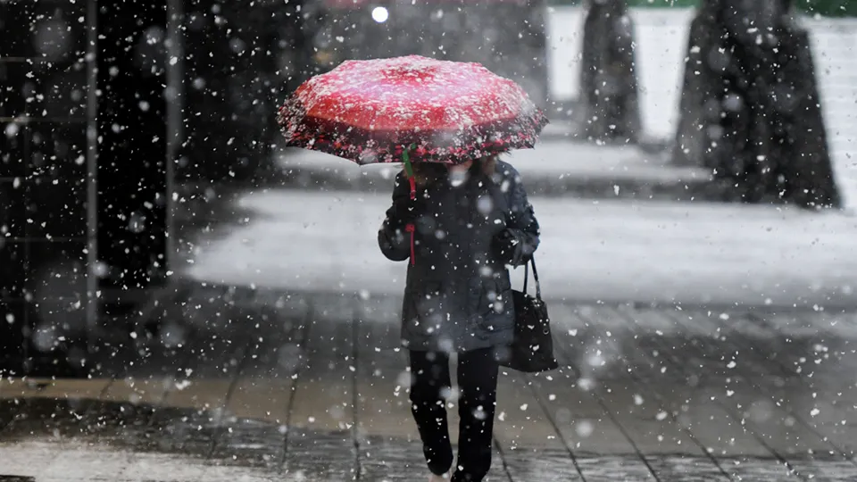 Фото: РИА Новости/Александр Кряжев