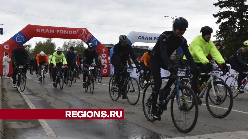 Фото: Владимир Останин