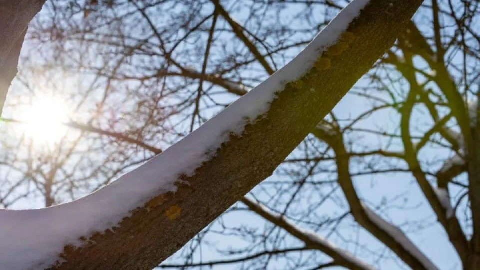 REGIONS/Роман Малышенко