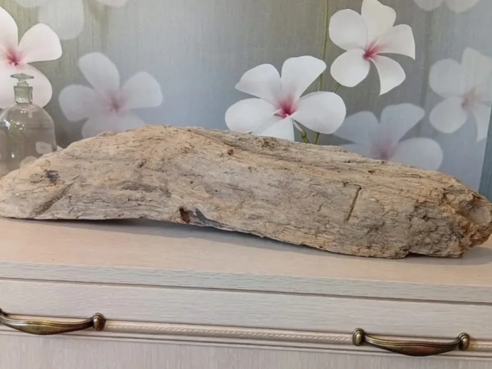 Фото: городская доска объявлений