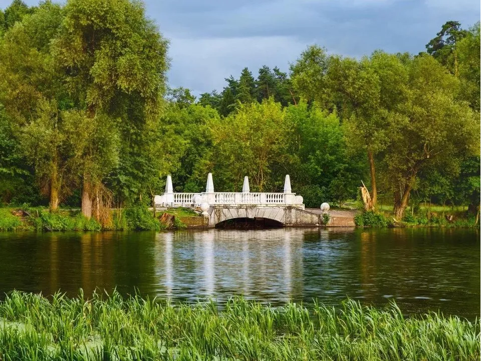 Фото: медиасток.рф