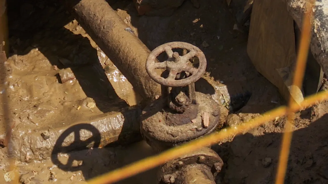 Фото: МедиаБанк Подмосковья/Данила Кирьянов