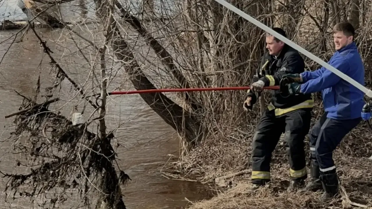 Центр гражданской защиты г.о. Щелково