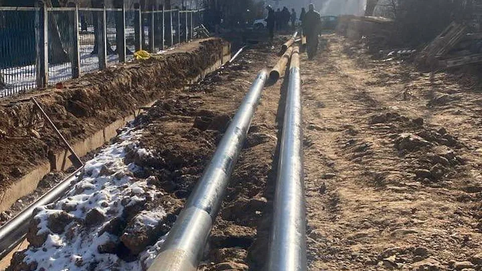 Фото: t.me/sobakin_nm