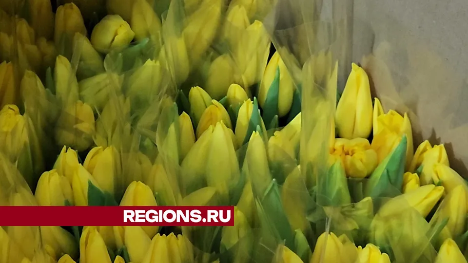 Фото: Юлия Андросова