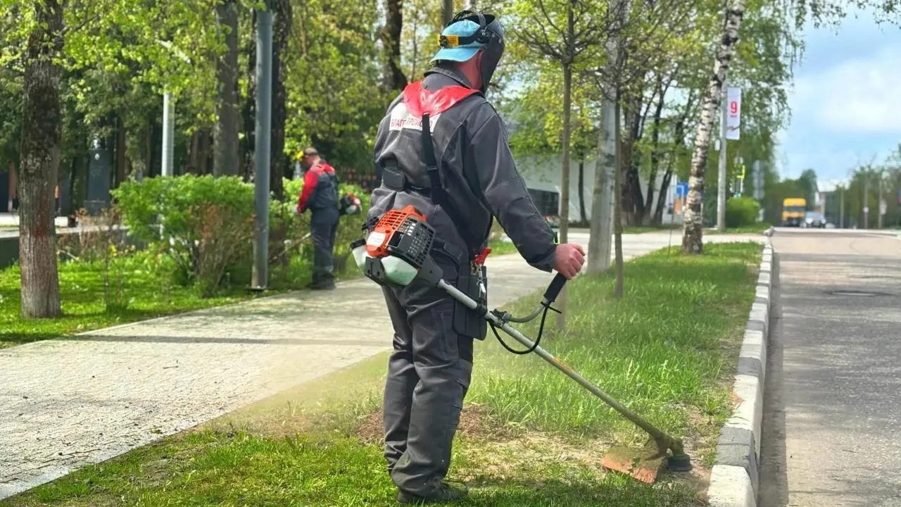 Картинка