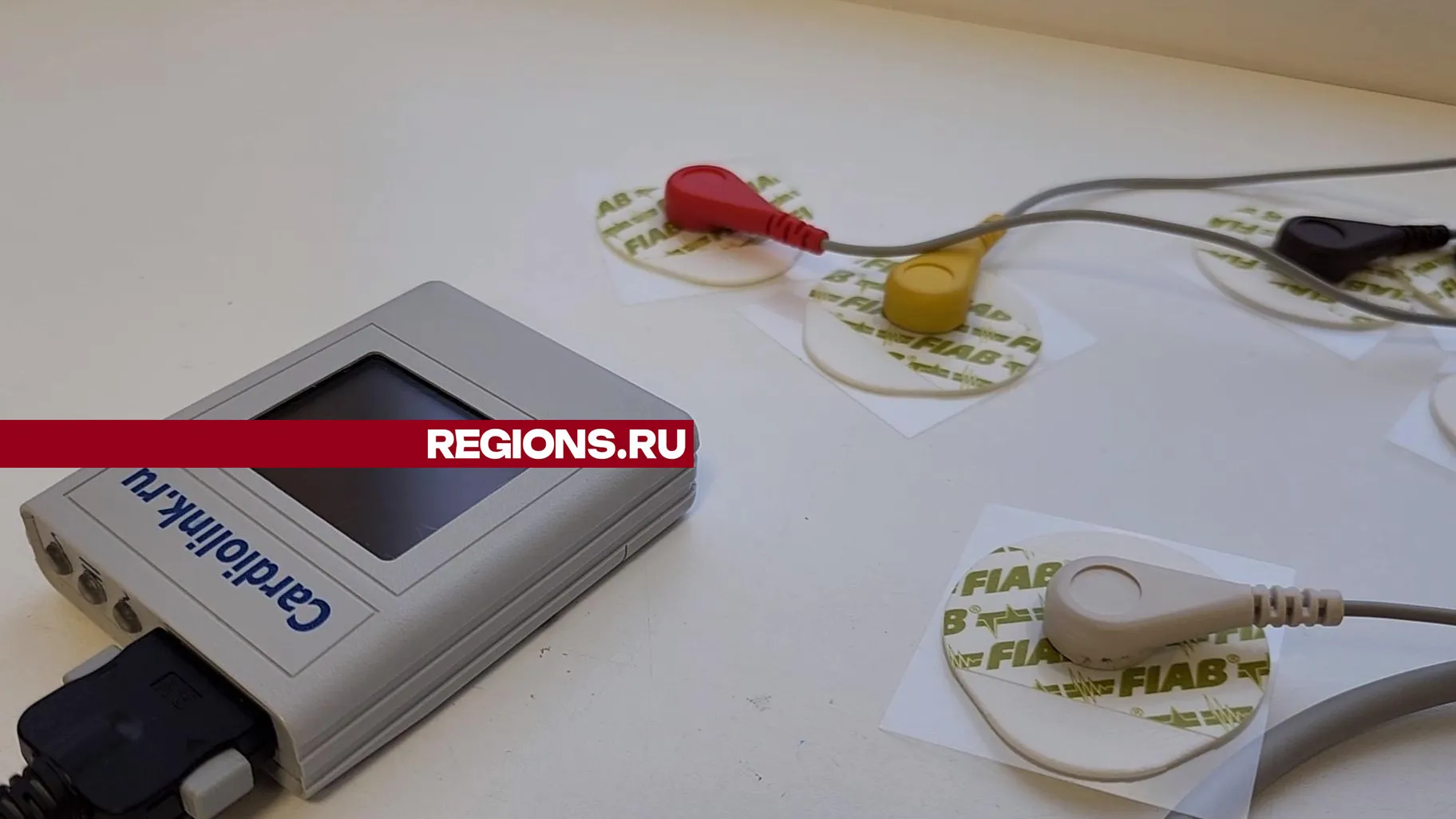 Фото: Мария Андрюхина