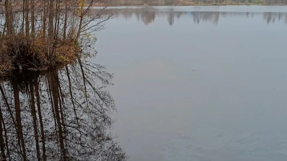 Фото: пресс-служба Администрации г.о. Егорьевск