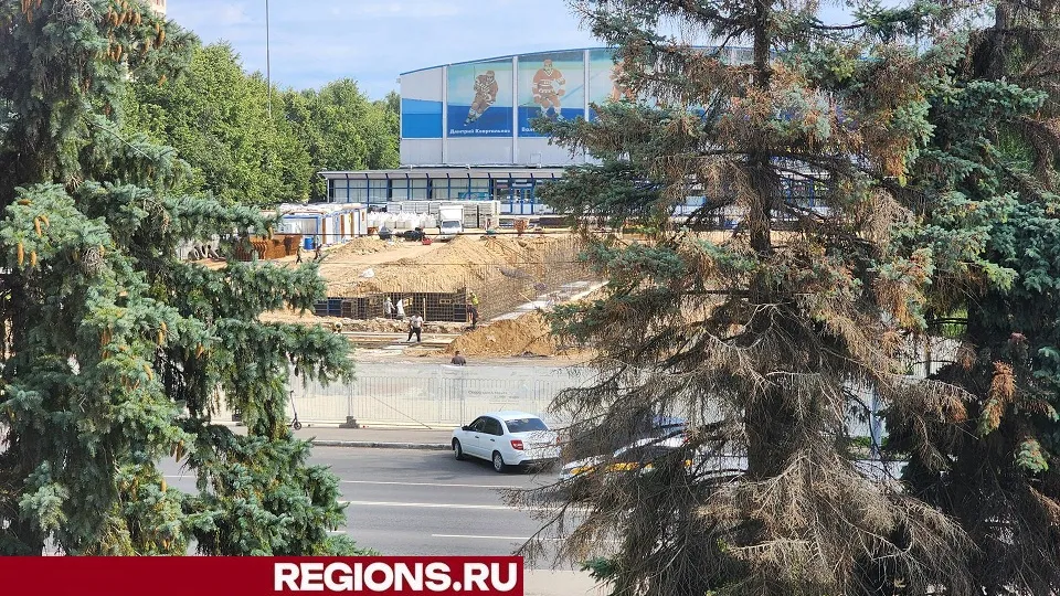 Фото: Светлана Плотникова