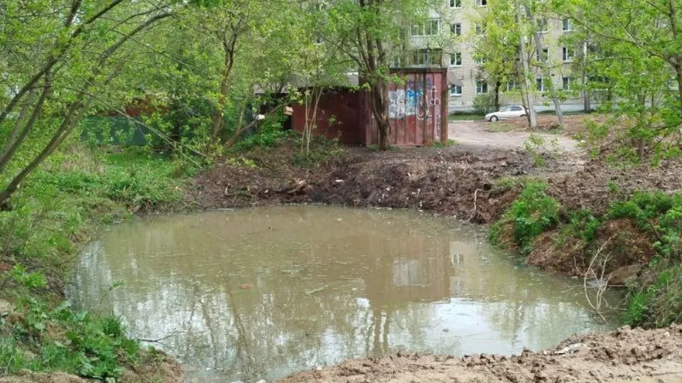 Фото: администрация Одинцовского округа