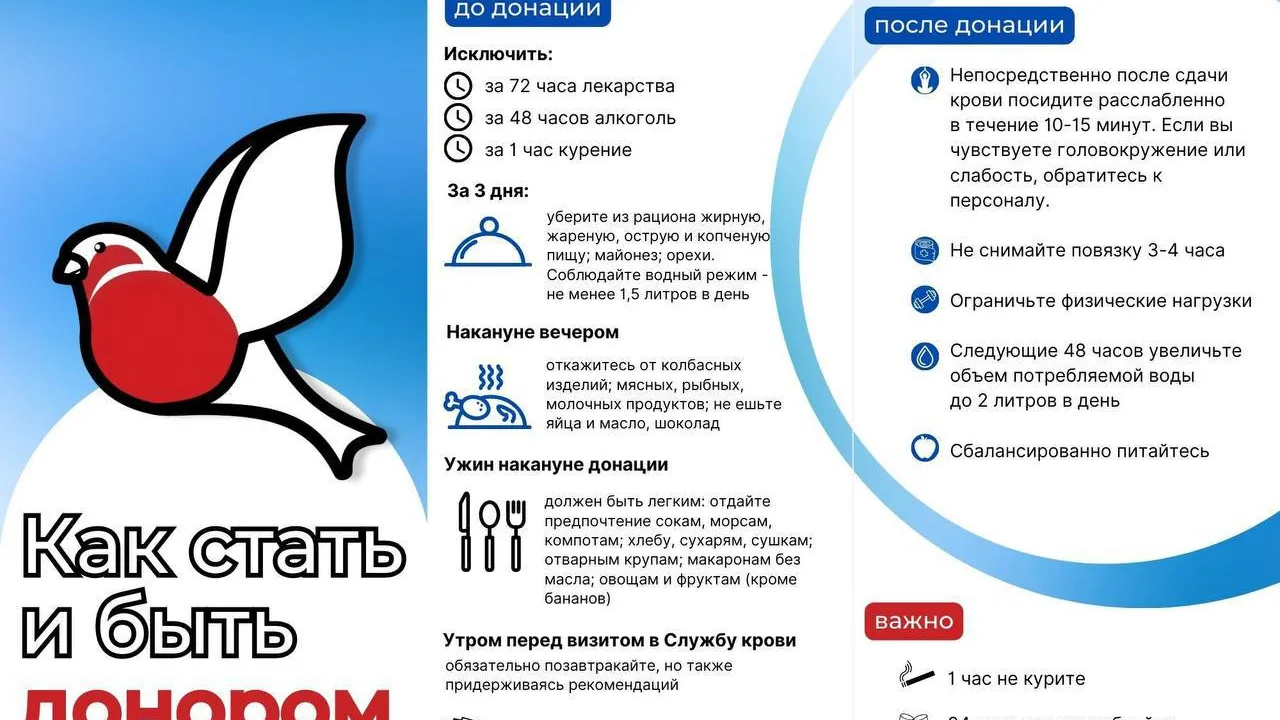 Источник: https://mz.mosreg.ru/kak-sdat-krov-dlya-postradavshikh-v-krokuse?ysclid=lu3rke5lui84720982