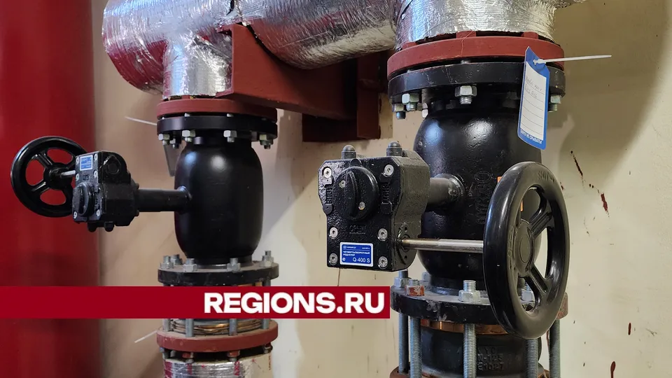 Фото: Ольга Фельдфебелева