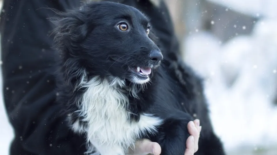 Фото: freepik.com