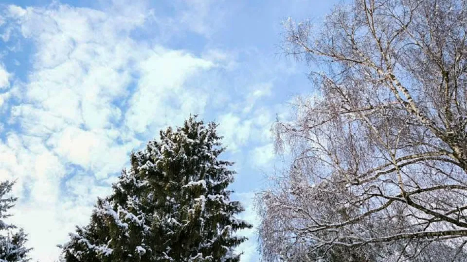 Фото: REGIONS/Роман Малышенко