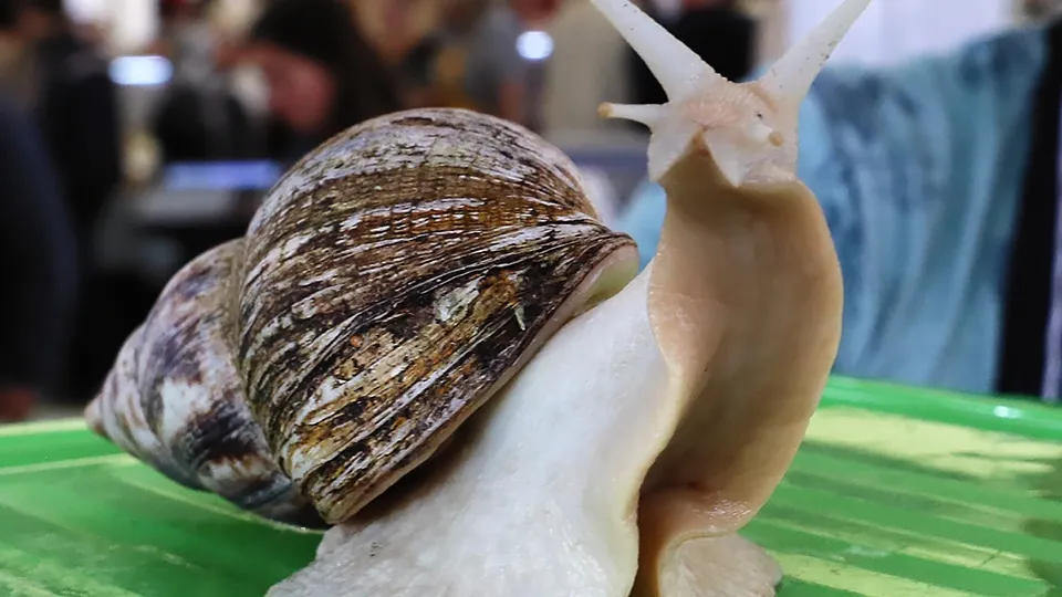 Фото: РИА Новости/Антон Денисов