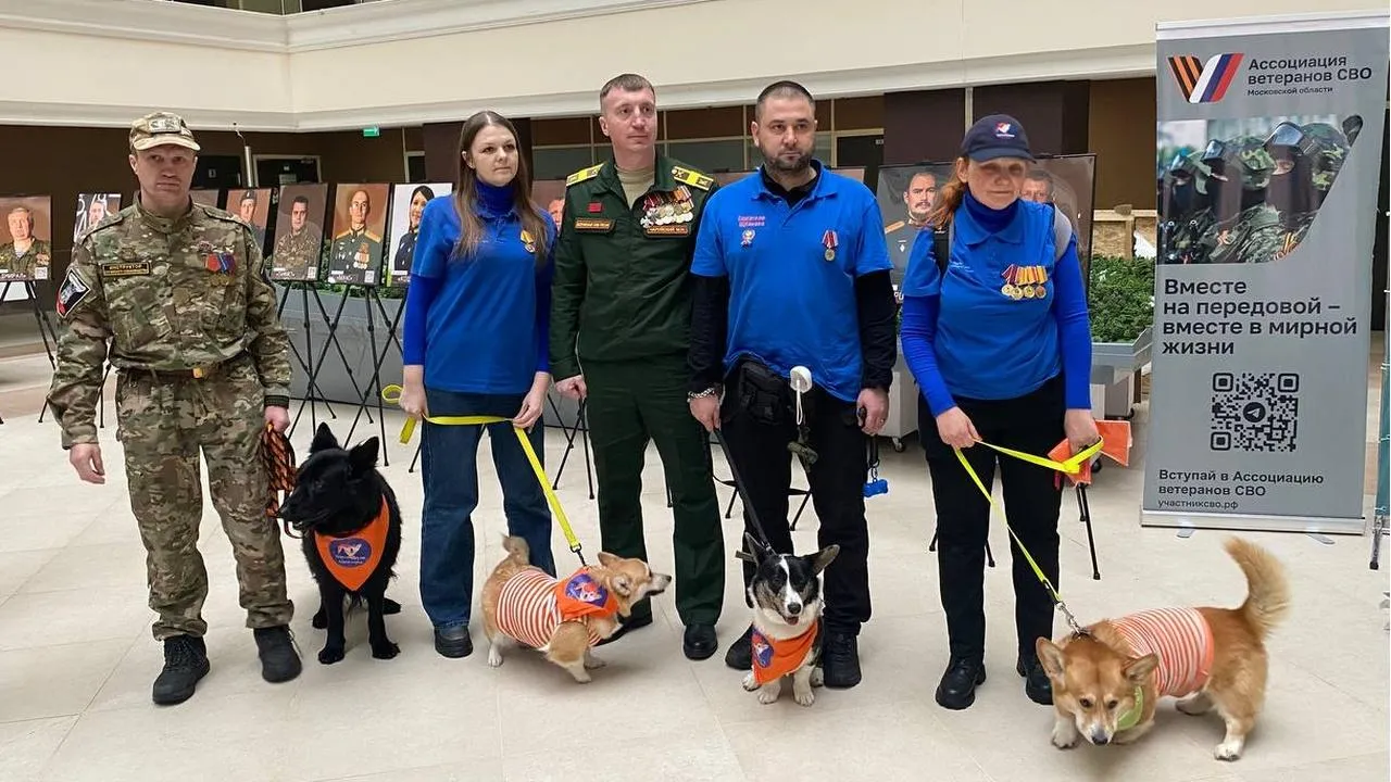 REGIONS/Дмитрий Некрасов